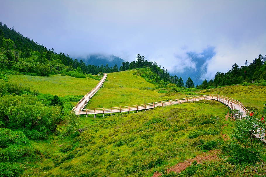 mountain, plank, clouds, plant, tree, scenics - nature, green color HD wallpaper