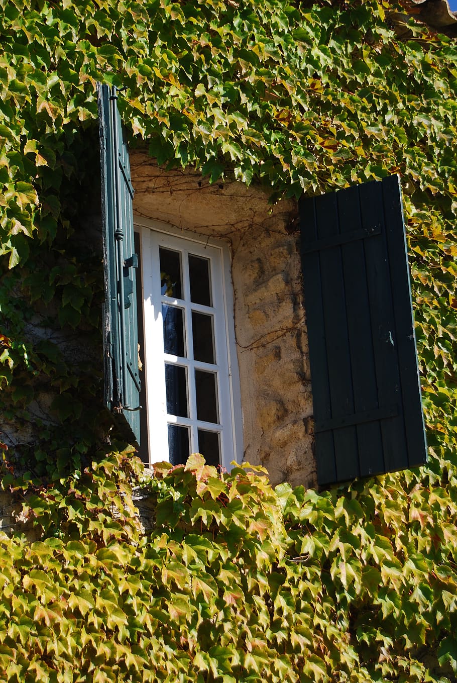 opening, window, shutters, architecture, built structure, building exterior HD wallpaper