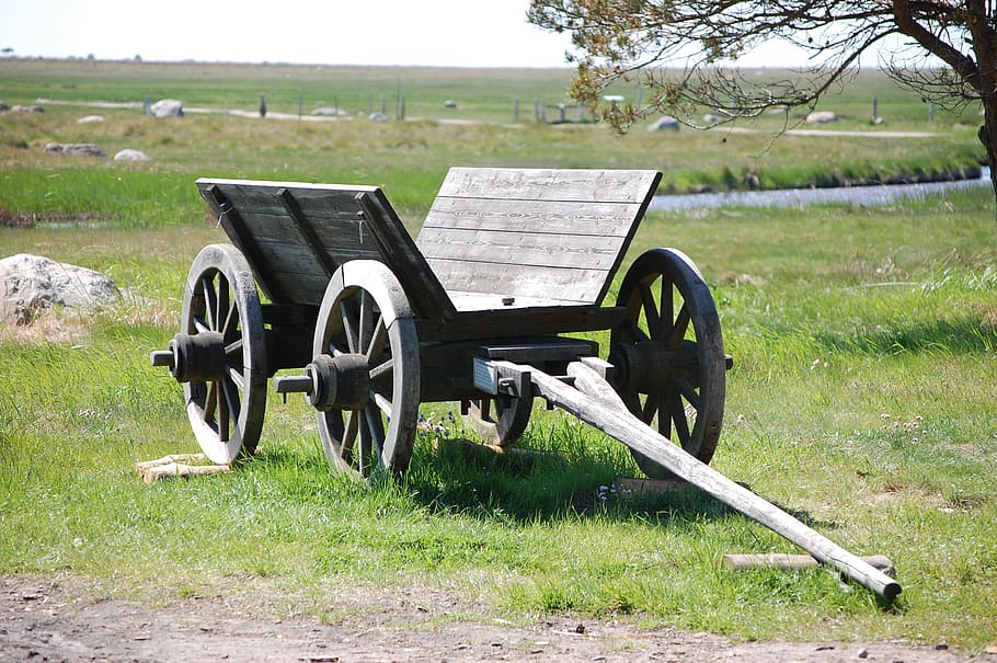 læsø, straw, wagon, grass, field, plant, wheel, land, nature HD wallpaper