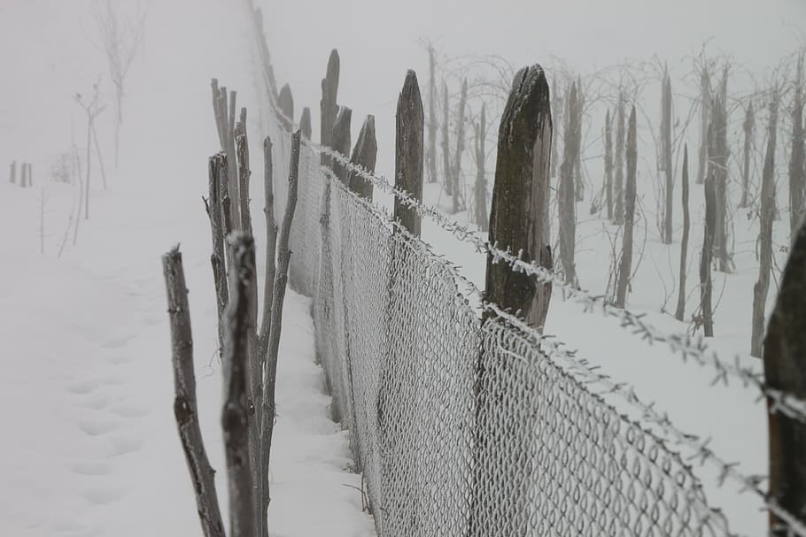 cold, fence, frozen, iron, white, wire, winter, cold temperature