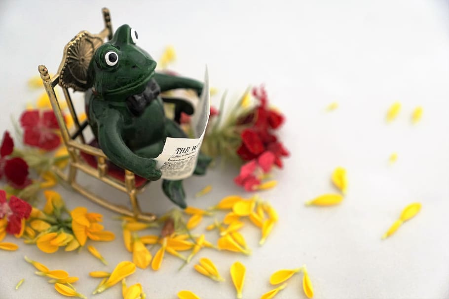 green frog ceramic figurine, Read, Newspaper, Intelligent, education HD wallpaper