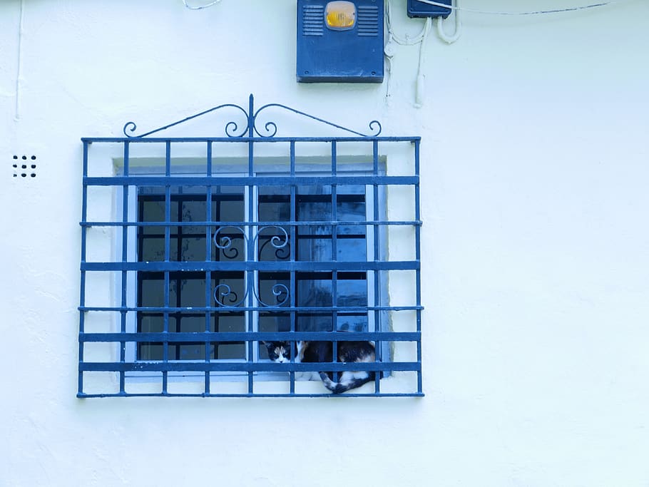 cat, nap, window, architecture, technology, no people, blue, HD wallpaper