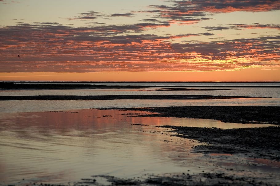 sunset, ocean, horizon, shore, silhouettes, clouds, sky, colorful HD wallpaper