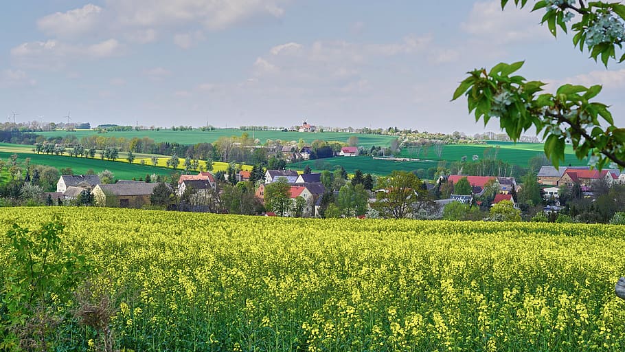 würchwitz, nature, view, landscape, picturesque, weather, panorama HD wallpaper