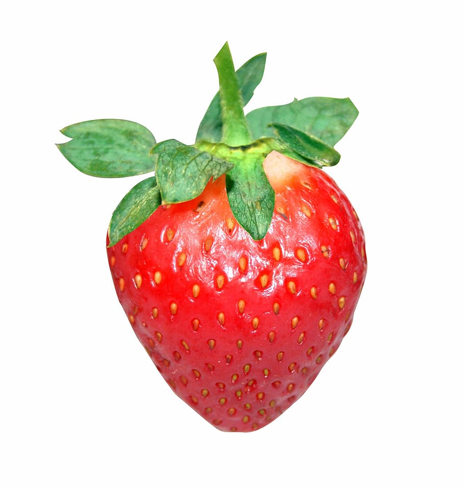 strawberry, red, fruit, strawberries, studio shot, white background HD wallpaper