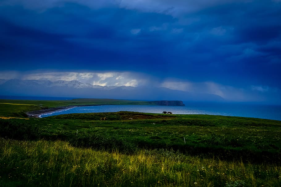 landscape, nature, sky, clouds, calm, cloudy, dramatic, grass HD wallpaper