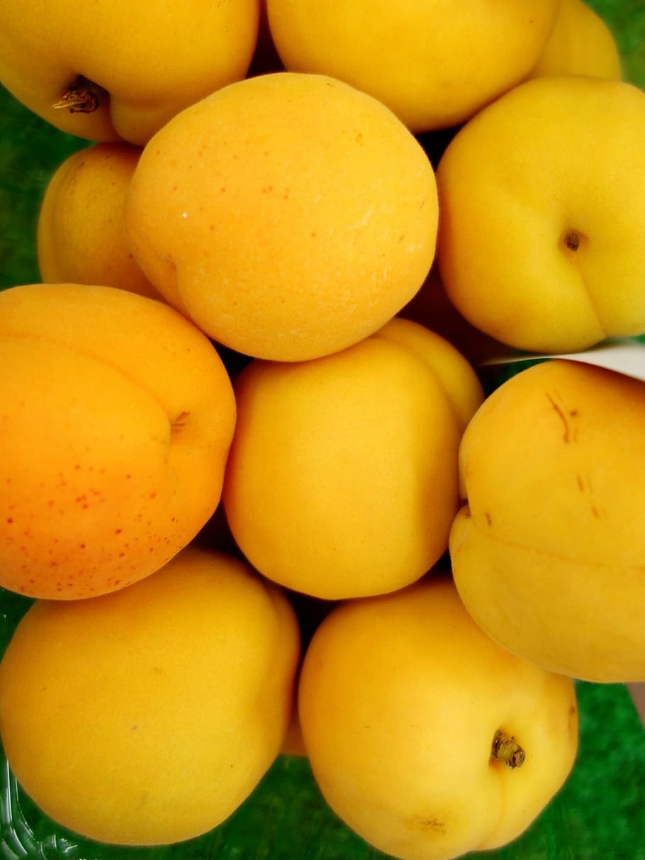 apricot, apricots, yellow, healthy eating, food and drink, wellbeing HD wallpaper