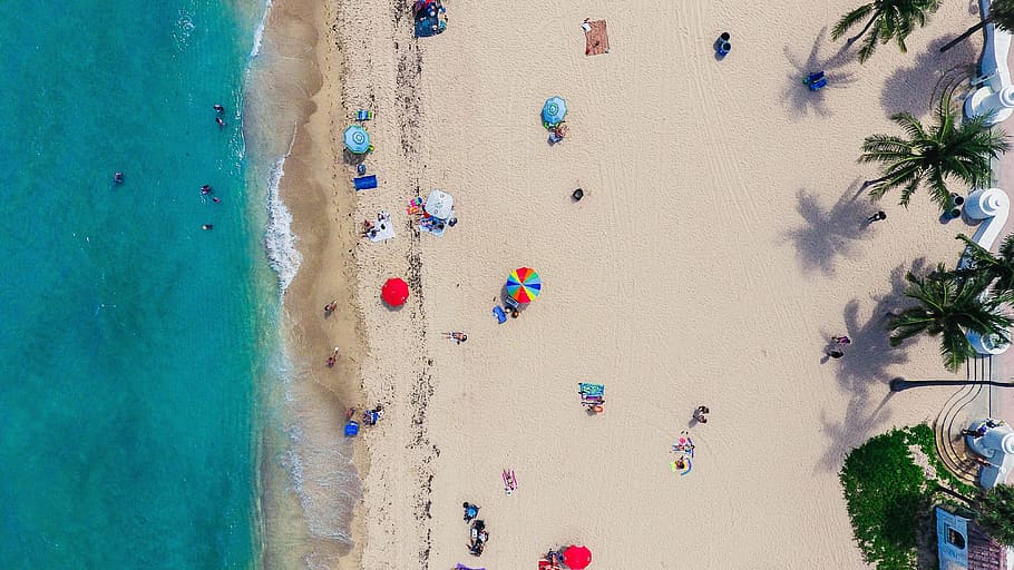 aerial photography of people on seashore near tall coconut tree at daytime HD wallpaper