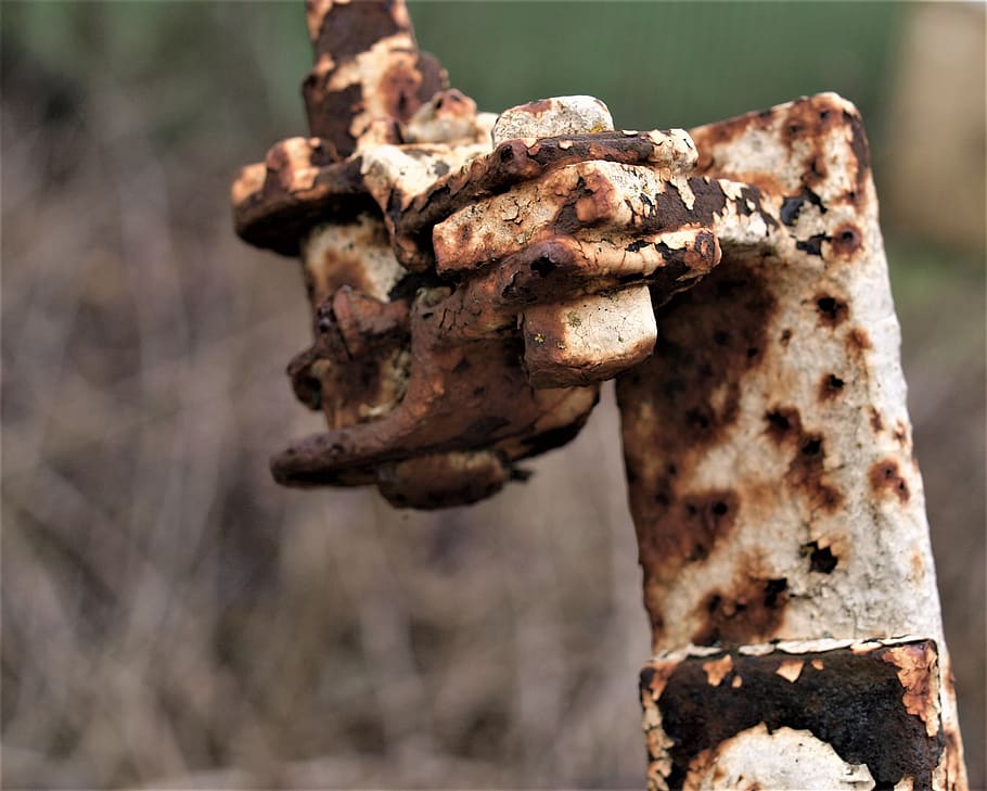 nature, closeup, fence, iron, rust, environment, rusty, close-up HD wallpaper