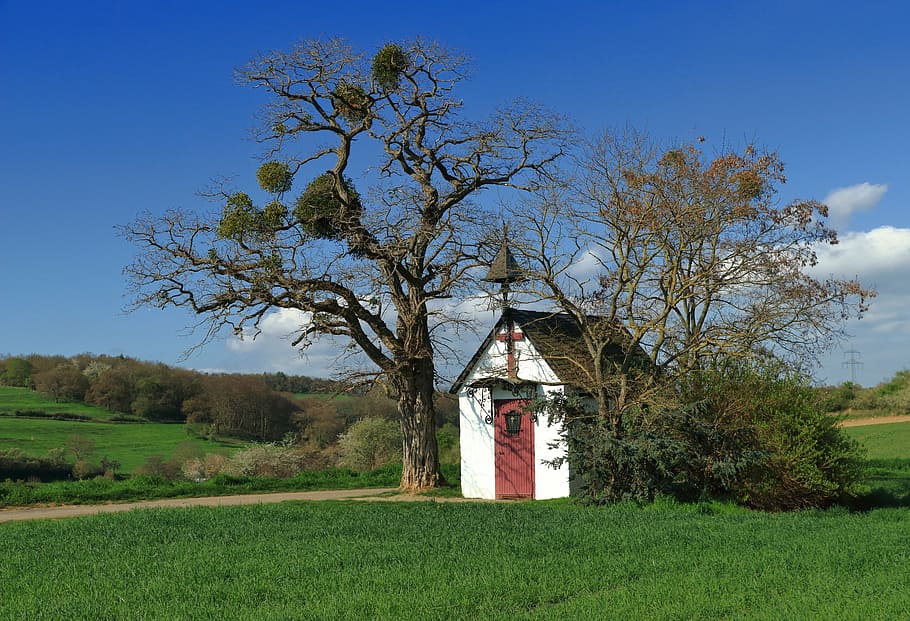 chapel, eifel, wayside chapel, anthony chapel, small church HD wallpaper