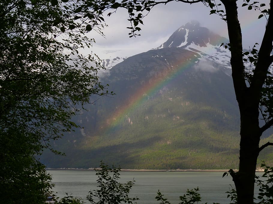 rainbow, mountain, alaska, scenery, landscape, lake, tree, beauty in nature HD wallpaper