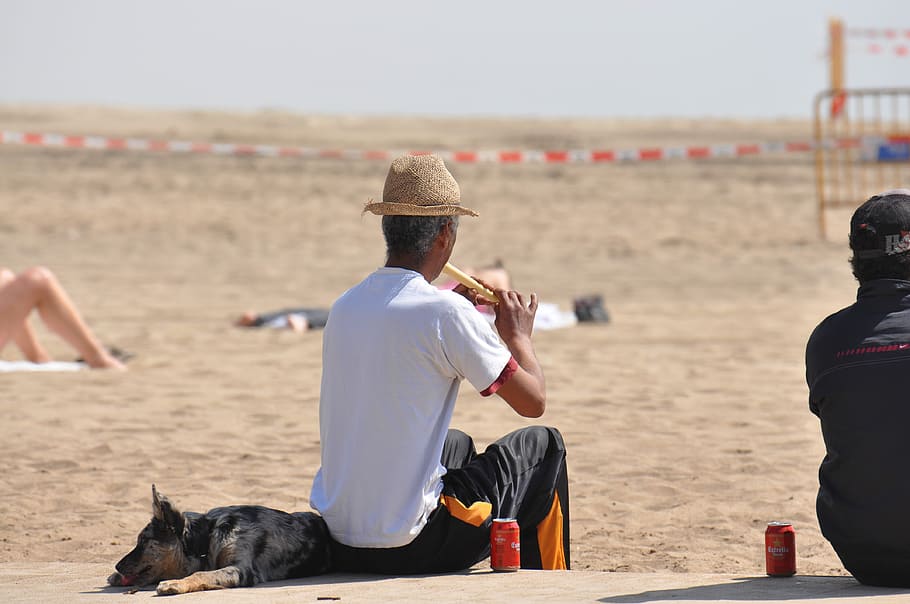 Man, Hat, Flute, Sand, Dog, beach, outdoors, leisure activity HD wallpaper