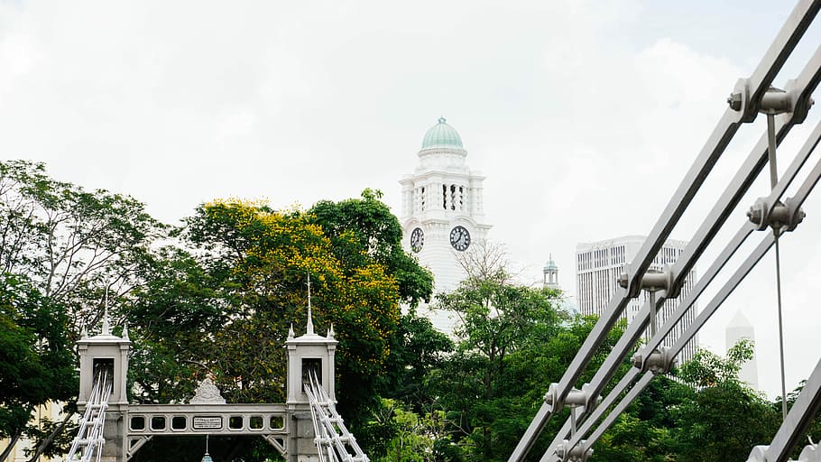 green trees near high-rise building under white sky, white tower and green leafed trees HD wallpaper
