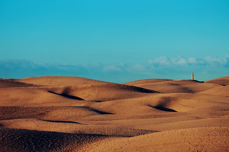 Sarah desert during daytime, dunes maspalomas, sand, canary HD wallpaper