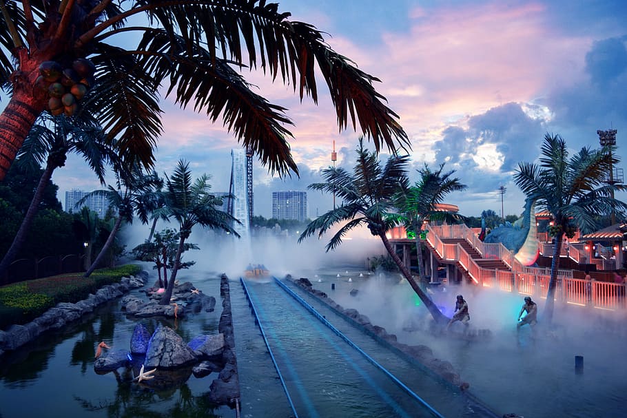 Changzhou, Amusement Park, Stimulus, palm tree, dusk, transportation HD wallpaper