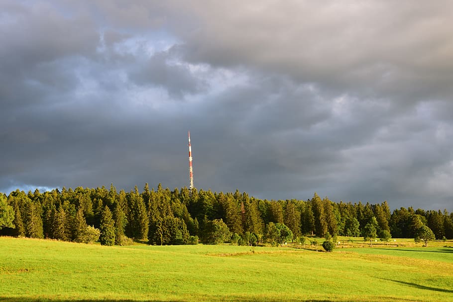 fall, forest, antenna, grey, cloud - sky, tree, plant, nature HD wallpaper