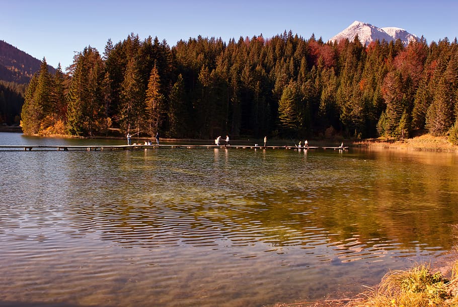 austria, lake, water, reflections, forest, trees, woods, pier HD wallpaper