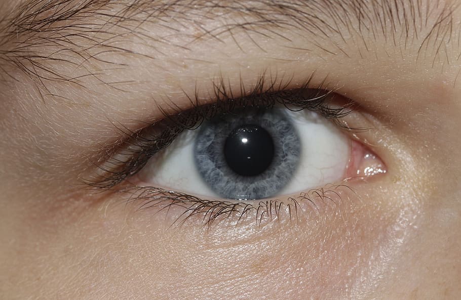 person's blue eyes, iris, see, face, young, portrait, expression HD wallpaper