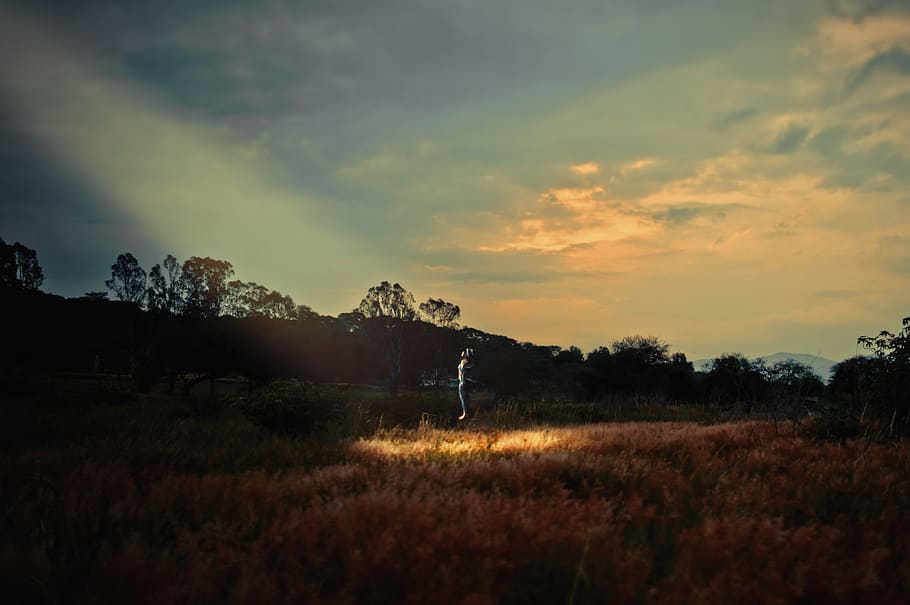 green, grass, trees, nature, outdoor, sky, cloud, light, people HD wallpaper