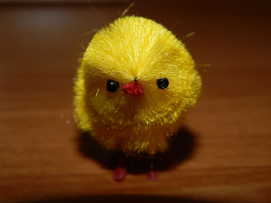chicken, ornament, close-up, representation, no people, yellow HD wallpaper