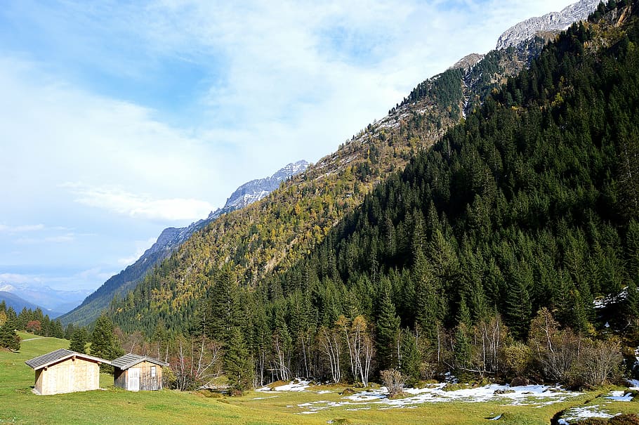 gschnitztal, autumn, mountains, tyrol, austria, tree, sky, plant HD wallpaper