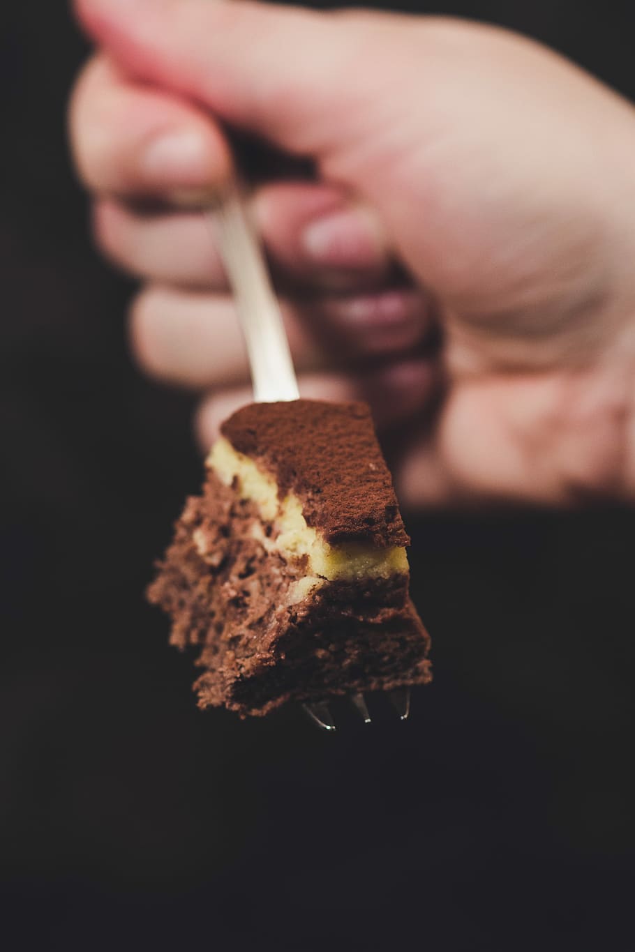 chocolate cake, person holding fork with sliced of cake, pastry HD wallpaper
