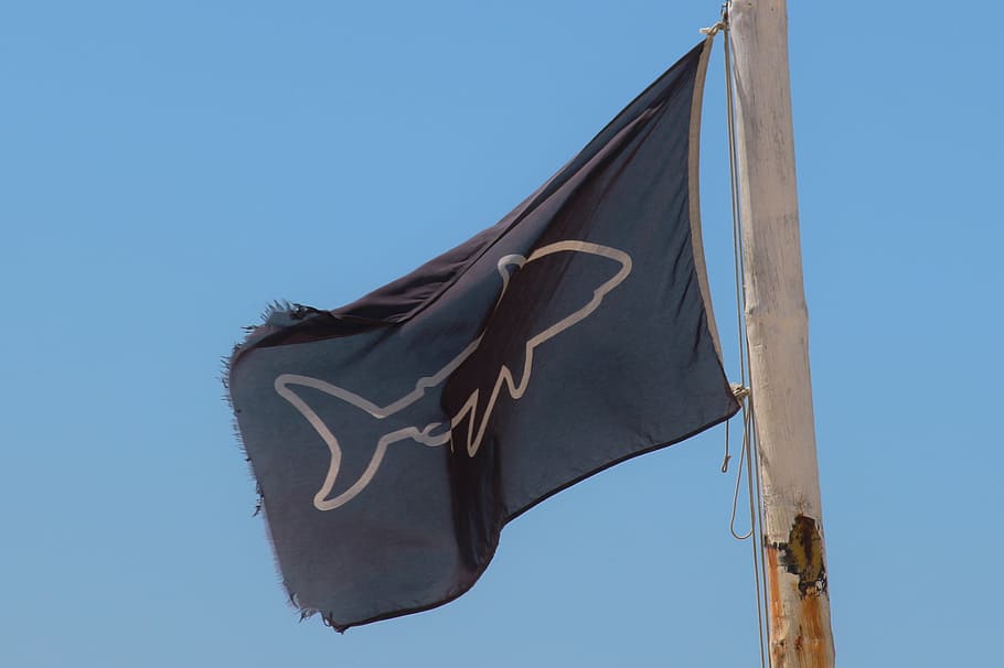 flag, warning signs, shark, risk, forbidden bathing, low angle view HD wallpaper