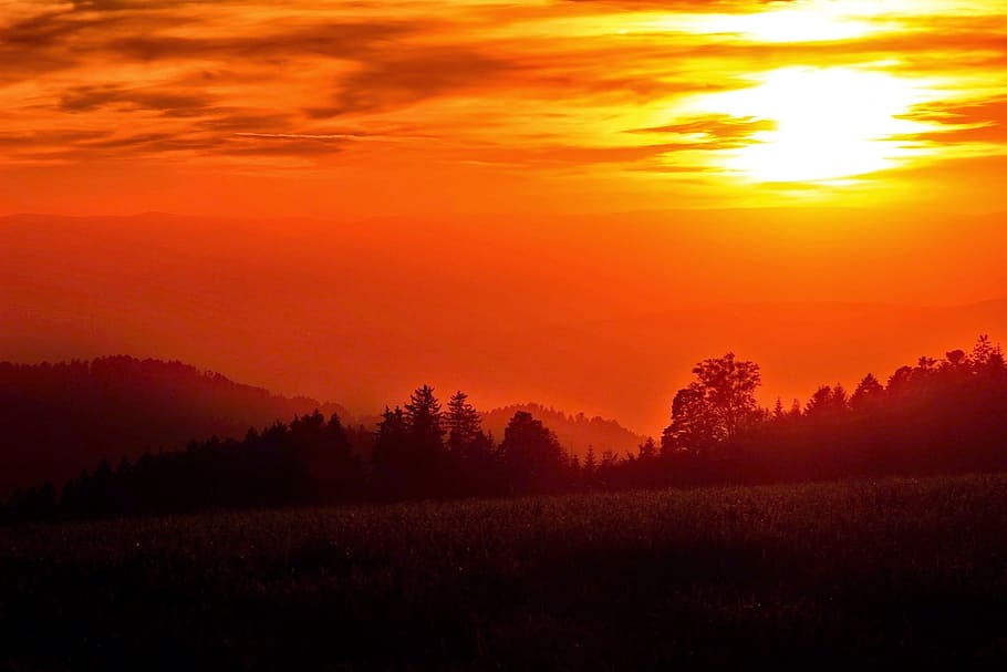 sunset, evening sun, golden, sky, abendstimmung, evening sky HD wallpaper