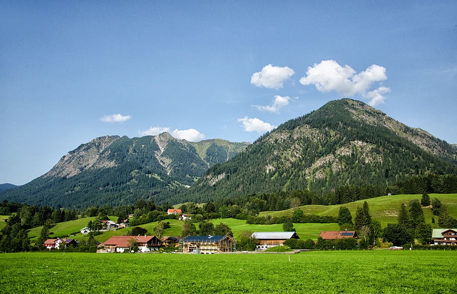 allgäu, oberstdorf, mountains, forest, trees, bavaria, summer HD wallpaper
