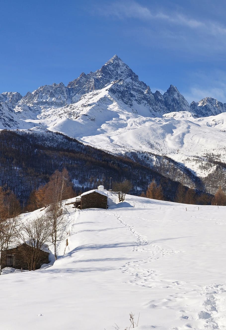 snow, winter, mountain, cold, ice, alps, nature, white, cold temperature HD wallpaper