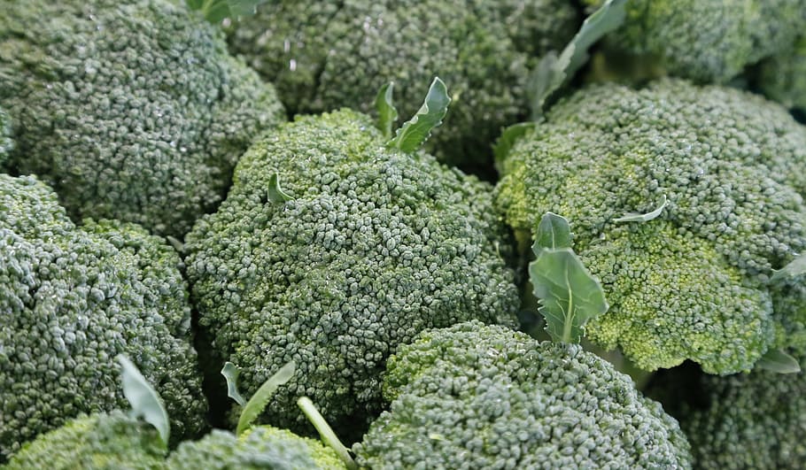 cauliflower, broccoli, vegetables, food, food and drink, healthy eating HD wallpaper
