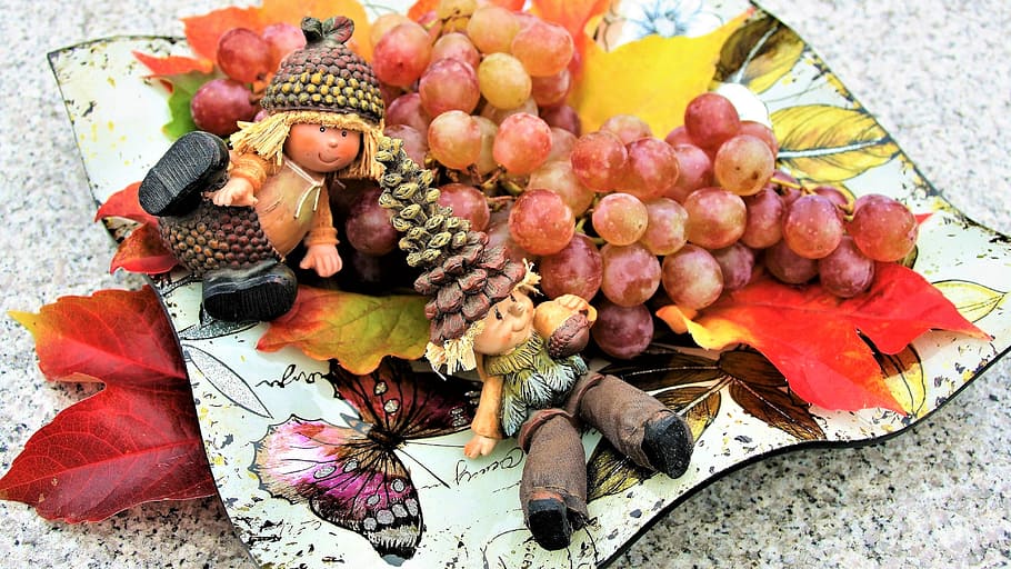 grapes, imp, fruit, autumn, rudy, plate, colorful, autumn leaves HD wallpaper