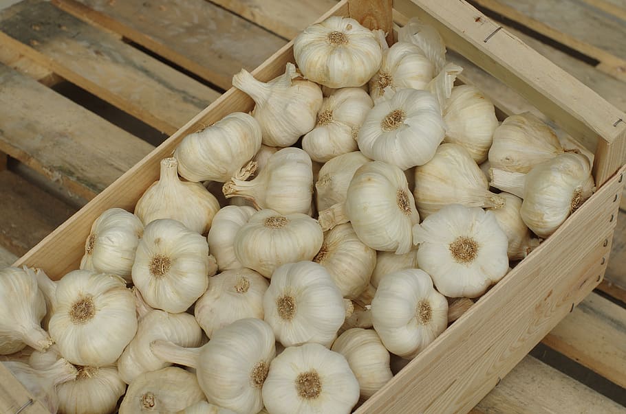 Image Onion Black pepper Allium sativum Food Closeup White 6300x4700