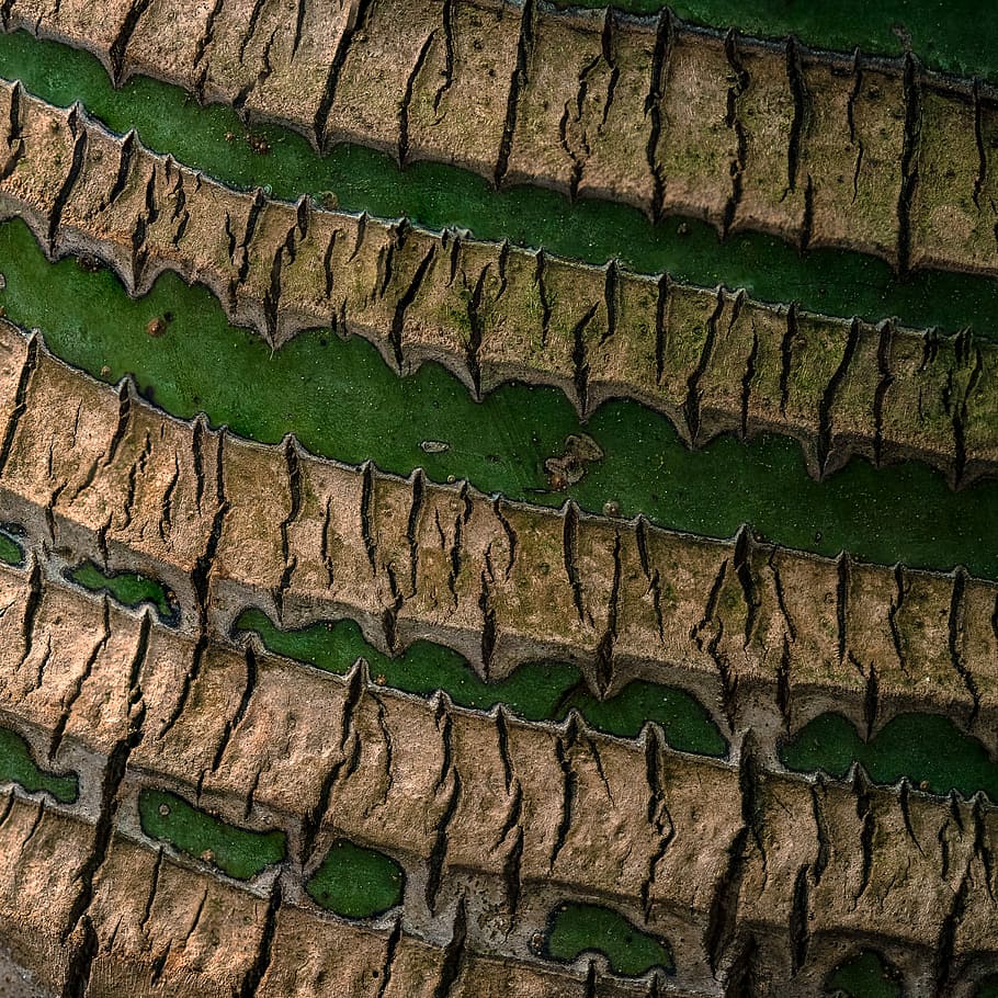 untitled, nature, bark, texture, tree, wood, full frame, backgrounds HD wallpaper