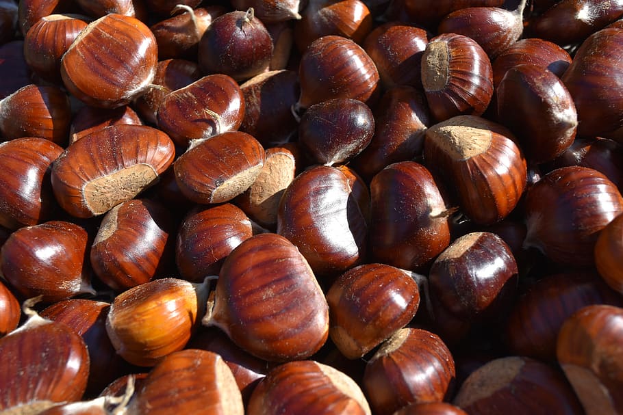 chestnuts, tradition, mountain, autumn, autumn colors, food and drink HD wallpaper