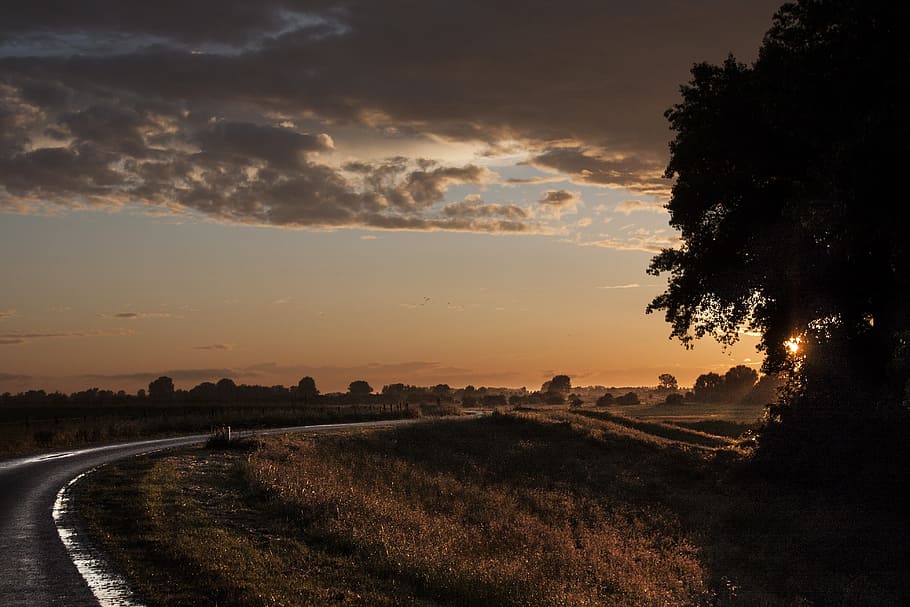 Evening, Sun, Sunset, Setting Sun, clouds, trees, orange, air HD wallpaper