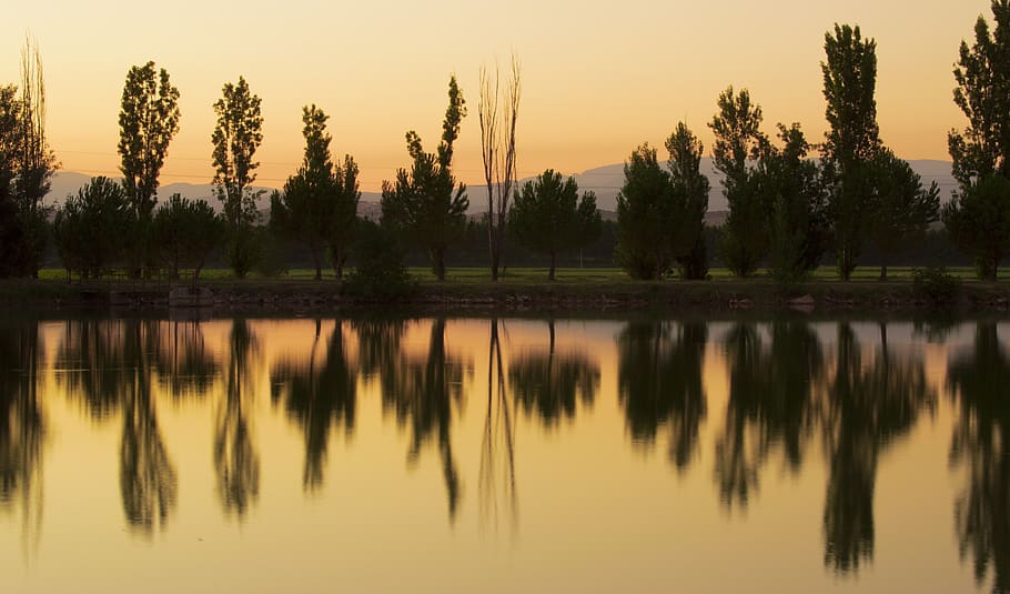 sunset, reflection, calm, evening, tree, plant, sky, water HD wallpaper
