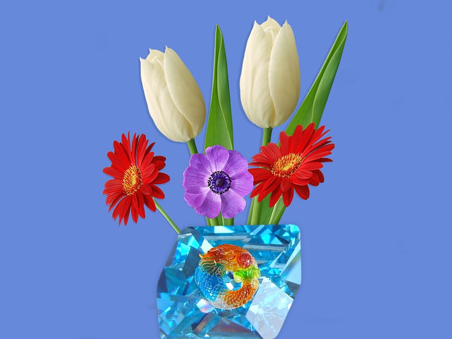 Turquoise, Flower, blue, nature, bouquet, plant, gift, isolated HD wallpaper