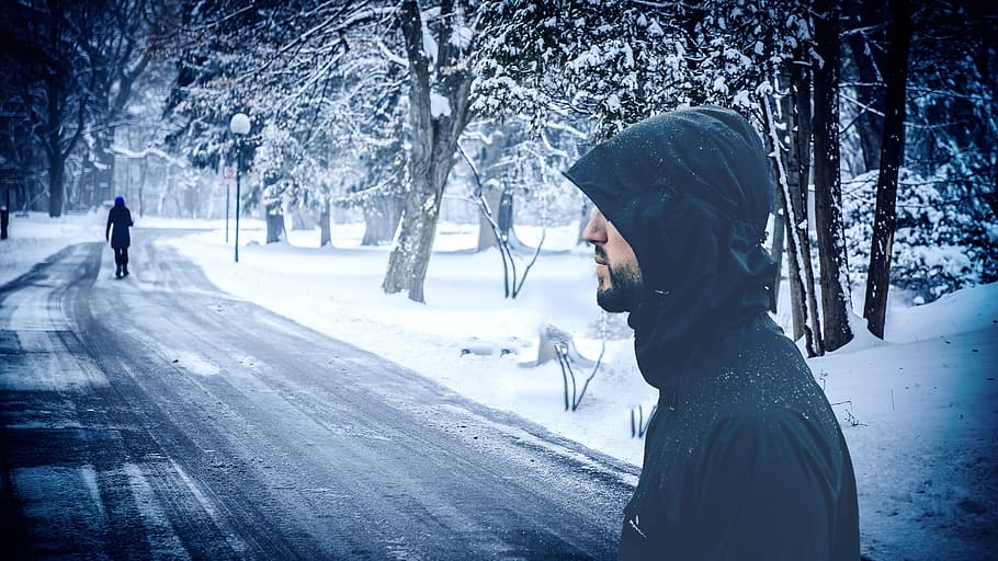 winter, stalking, chase, spy, cold, ice, landscape, frost, icy winter HD wallpaper