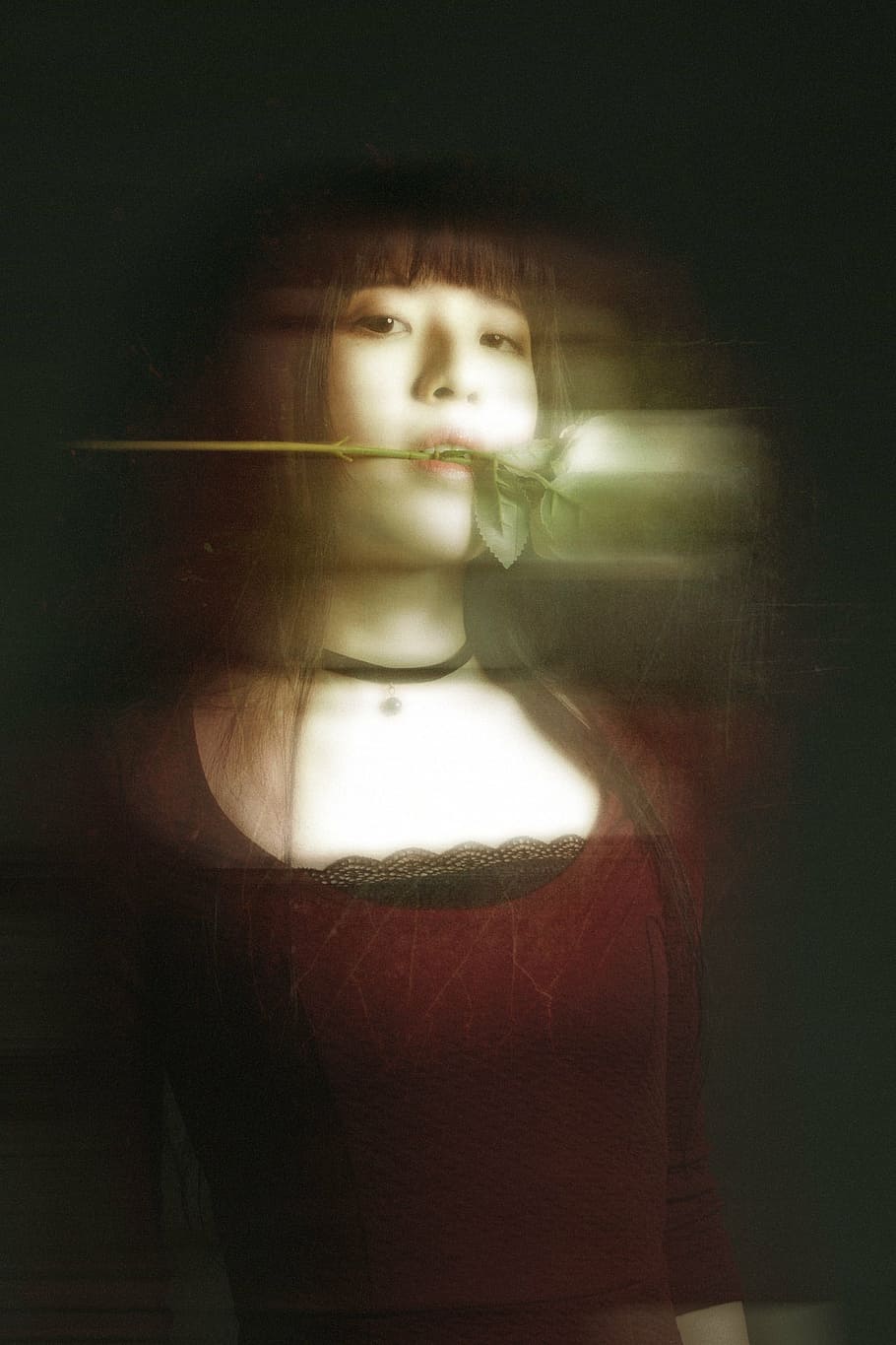 woman in red top while biting white rose, creepy, model, dark HD wallpaper