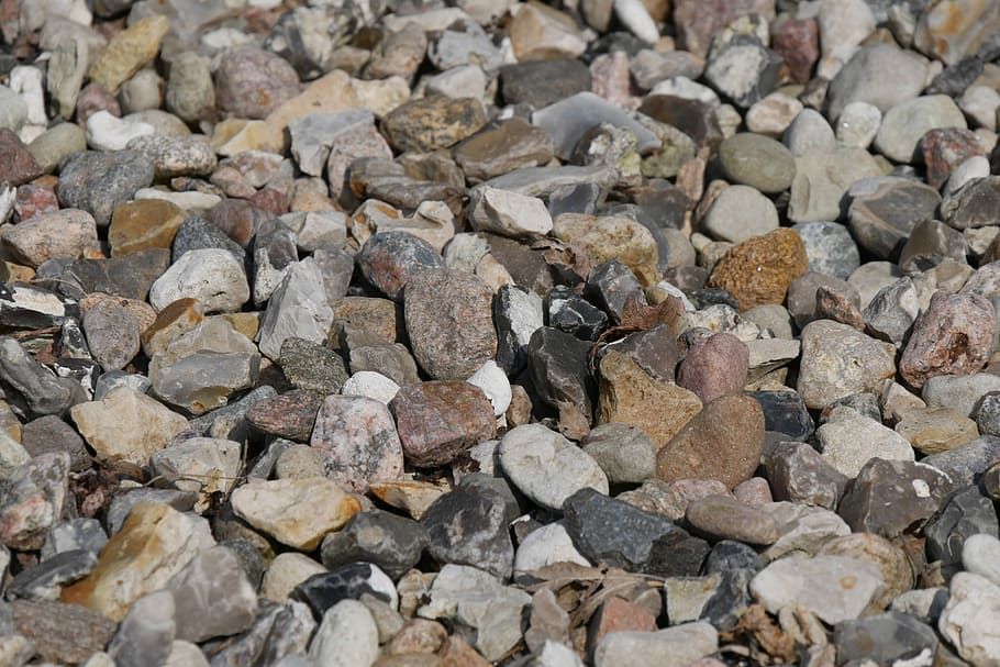 stone, pattern, texture, solid, rock, rock - object, animal HD wallpaper