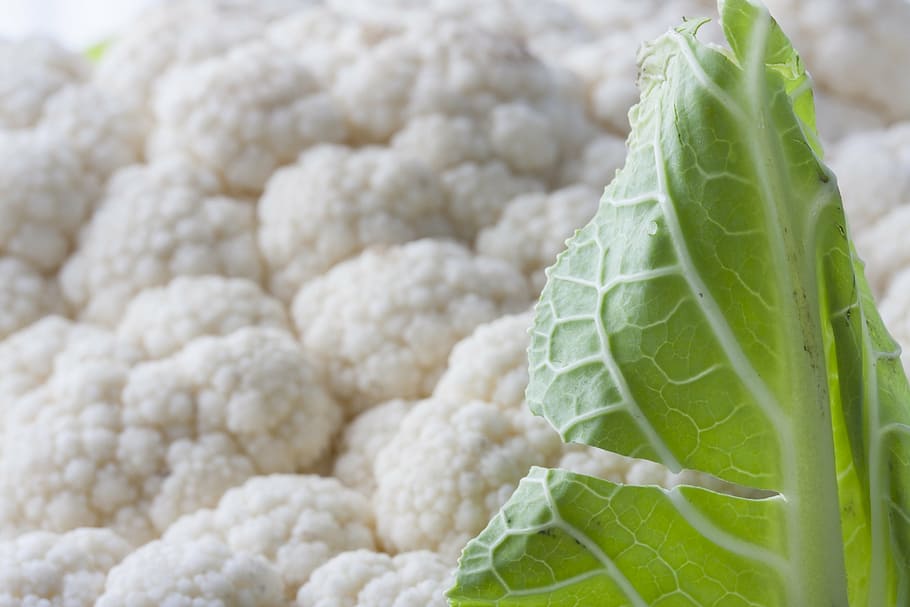 cauliflower vegetable, white, healthy, diet, fresh, texture HD wallpaper