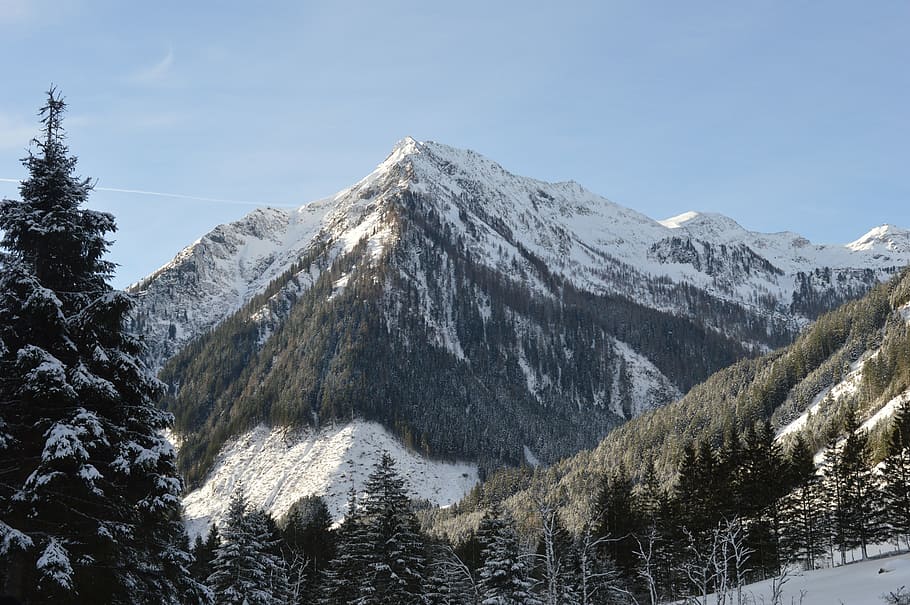 mountain, snow, alpine, winter, nature, landscape, forest, outdoors HD wallpaper