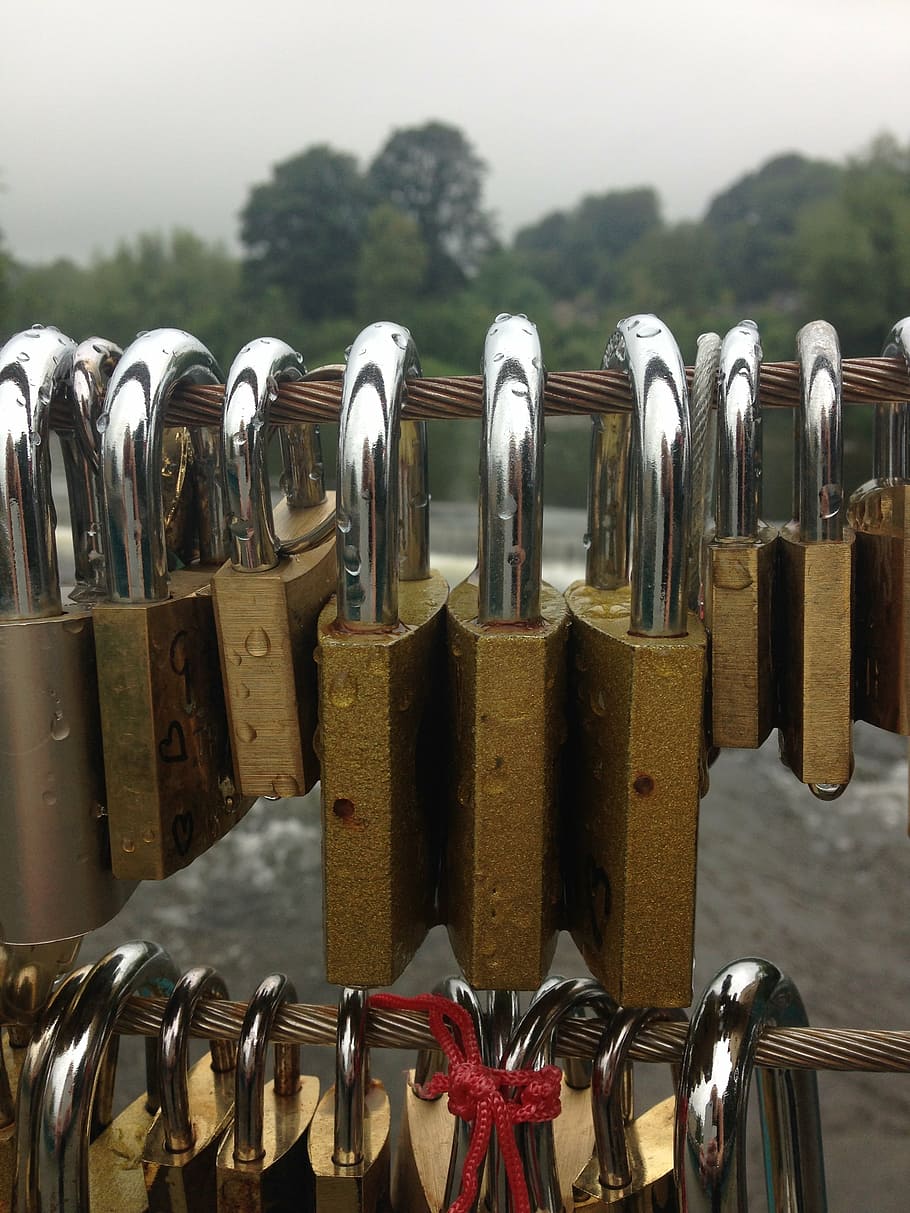 security, padlock, metal, protection, love, in a row, hanging HD wallpaper