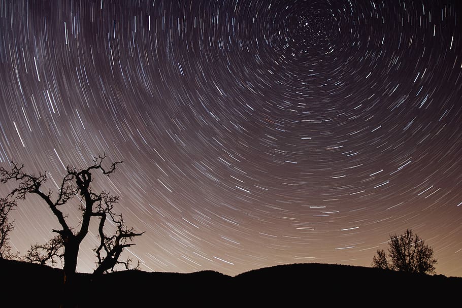 photo of star trail, time lapse photography of stars above tree silhouette HD wallpaper