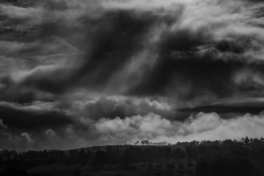grayscale photo of trees under clouds, contrast, dark, dramatic HD wallpaper