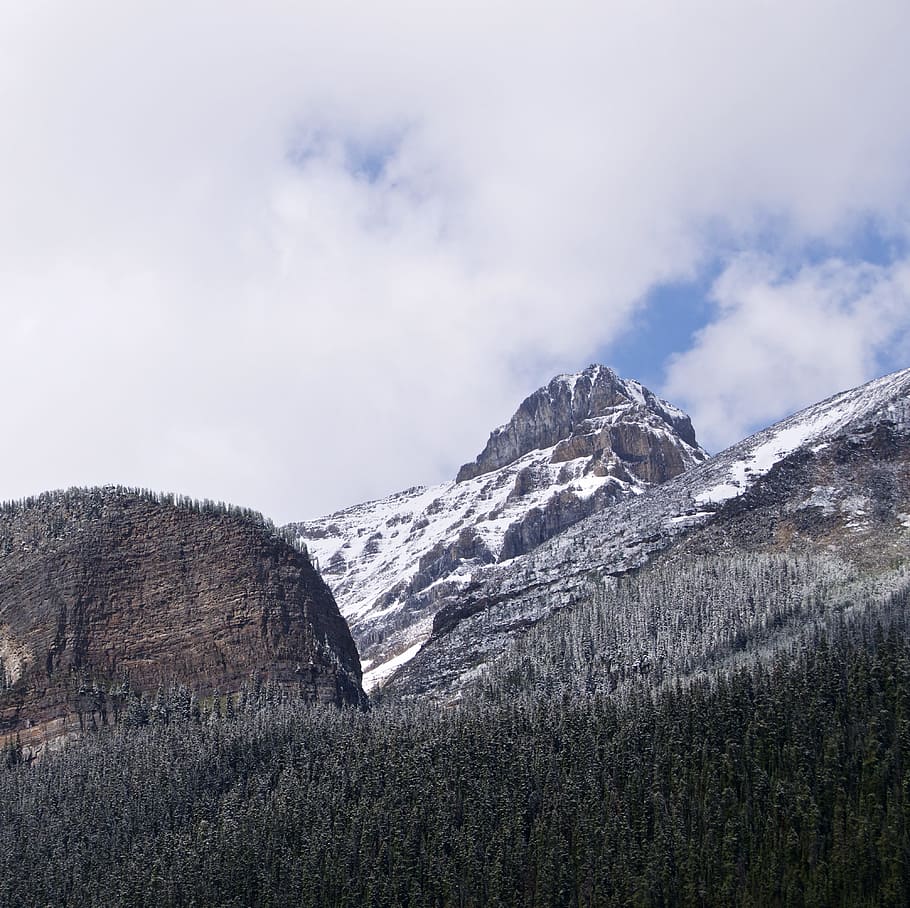 mountain range covered with snow surrounded by pine trees under white clouds during daytime, landscape photography of mountains and trees HD wallpaper