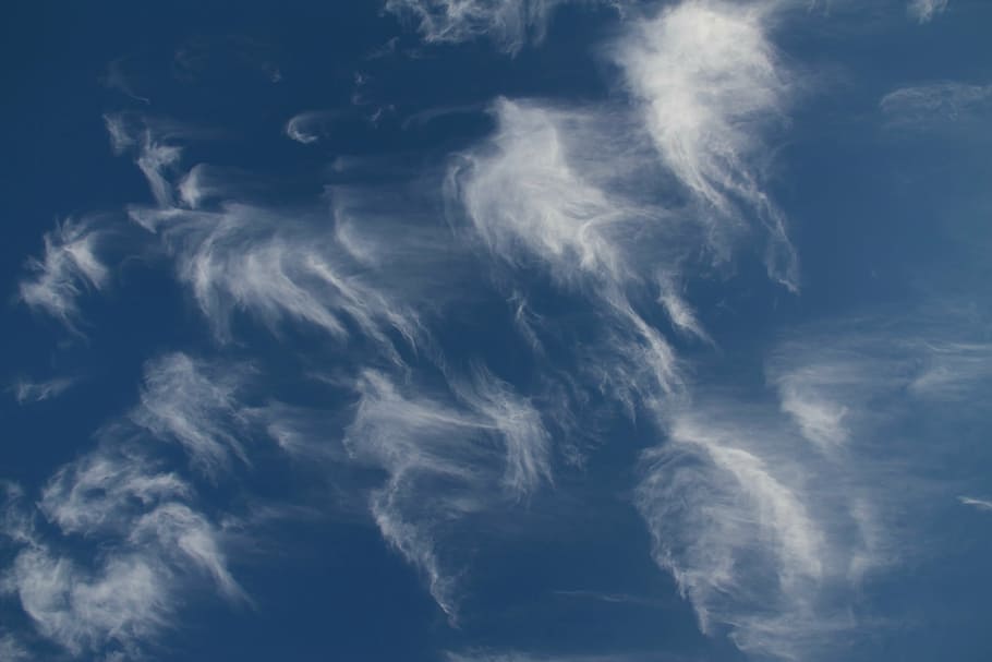 cirrus clouds, blue, sky, clear, sunny, beautiful, federwolke HD wallpaper