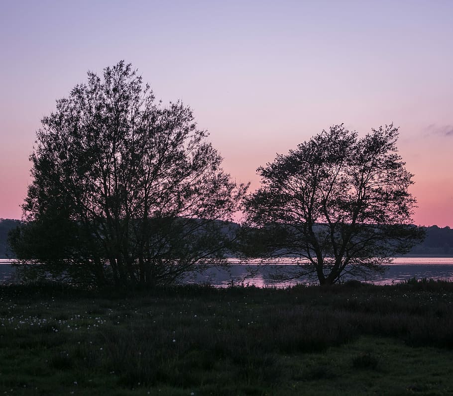 Trees, Sunset, Lake, Natural, View, sky, water edge, silence HD wallpaper