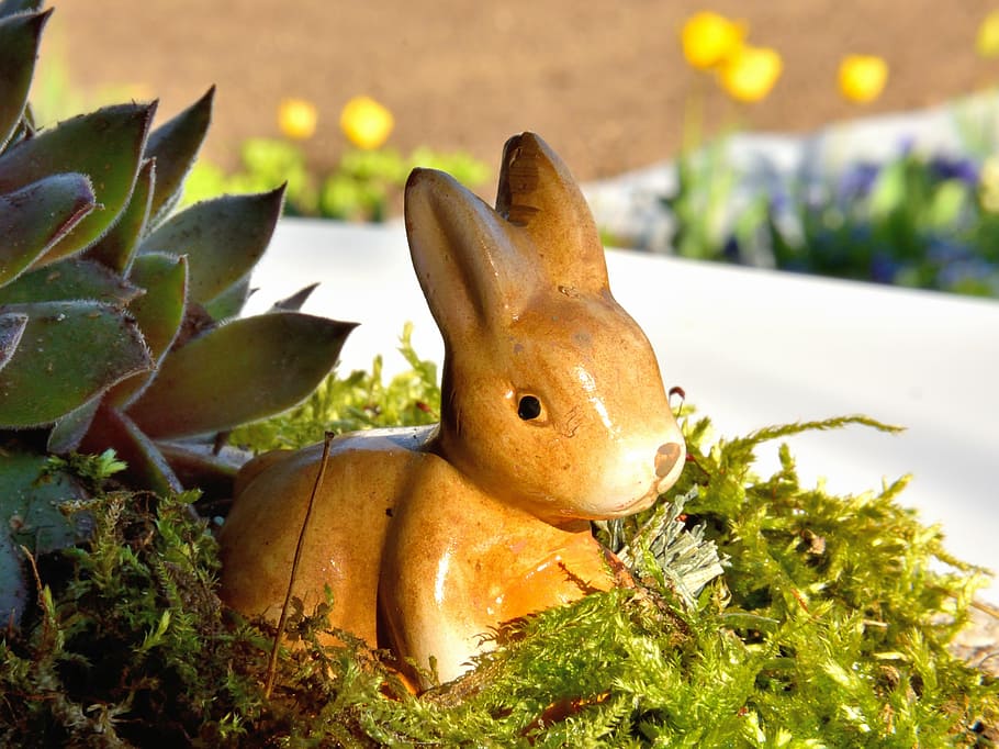 easter bunny, moss, hare, decoration, figure, spring, rabbit - Animal HD wallpaper